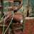 coilspring