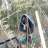 gars_freerider