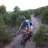 buscobici