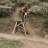 jopcross