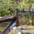 Marko_Pinho