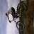 barreda_racing