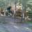 betodh22