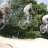 davizbmx