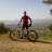 adrian_alh