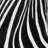 ZebraPants